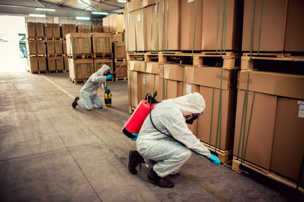 Best Pest Removal Services  in Murrells Inlet, SC